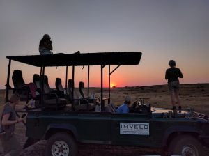 Nehimba seeps sundowners hwange