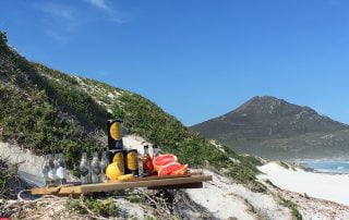Popup bar with a view on a New Frontiers Escape