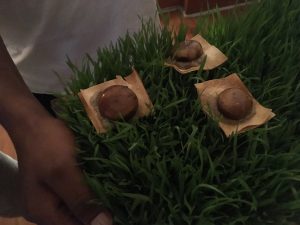 Chef Santi's Mushroom Truffled Veloute