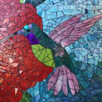 Los Colibris Hummingbirds Casitas Todos Santos Eco Adventures