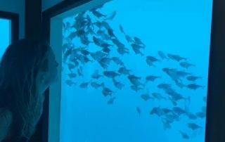 Manta Resort Pemba Underwater Room