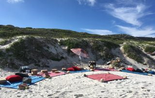Luxury picnic near Cape of Good Hope with New Frontiers Escapes