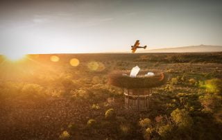 Segera Retreat Nay Palad Kenya with Albatros Travel