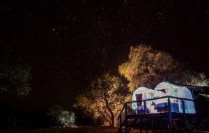 Star bed Jozibanini Camp Hwange Imvelo