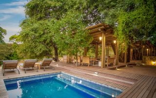 New Frontiers_Bateleur swimming pool Timbavati, South Africa