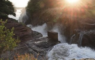 Classic Africa Safaris Murchison Falls Gretchen Healey
