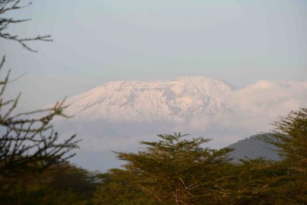 Polo Club view of Kilimanjaro with Albatros East Africa