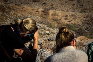 Ultimate Safaris_rhino trekking from //Huab Under Canvas