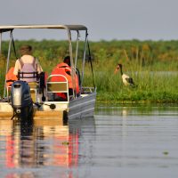 Birdwatching in Murchison Falls NP