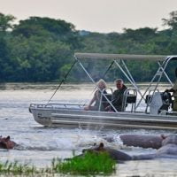 Game viewing in Murchison Falls NP on a Kingfisher boat