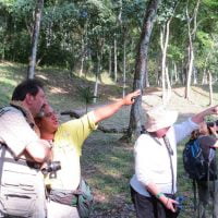 maya-trails-guatemala-yaxha-wildlife-spotting-monkeys