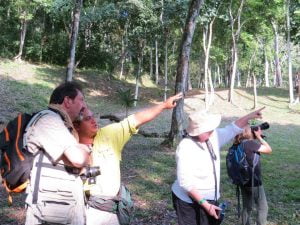 maya-trails-guatemala-yaxha-wildlife-spotting-monkeys
