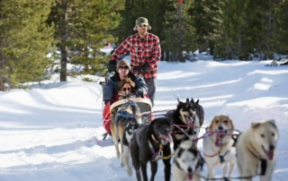 dog-sledding-oregon-first-nature-featured-image