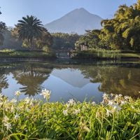 maya-trails-guatemala-antigua-villa-bokeh-agua-volcano-view