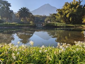maya-trails-guatemala-antigua-villa-bokeh-agua-volcano-view