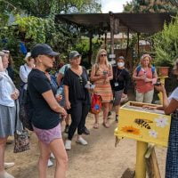 maya-trails-guatemala-atitlan-san-juan-laguna-bee-honey-coop