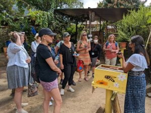 maya-trails-guatemala-atitlan-san-juan-laguna-bee-honey-coop
