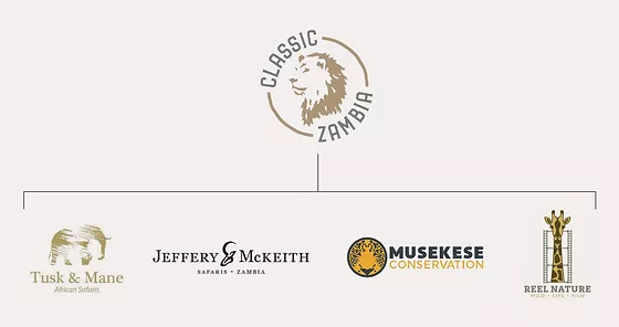 Classic Zambia Org Chart