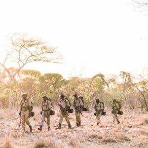 Classic Zambia - Kafue - Musekese