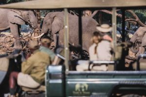 classiczambia-activities-gamedrive