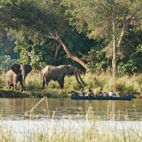 classiczambia-activities-canoesafari