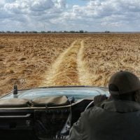 classiczambia-kafue-ntemwabusanga-gamedrive