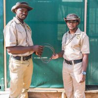 classiczambia-activities-musekeseconservation-antipoaching