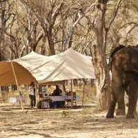 classiczambia-lowerzambezi-kutalie-exterior