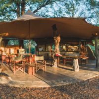 classiczambia-kafue-musekese-main