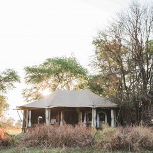 classiczambia-kafue-musekese