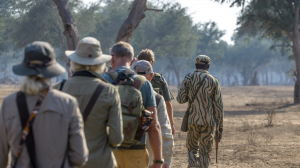 Classic Zambia - Lower Zambezi - Kutali - Canoe - Walking Safari