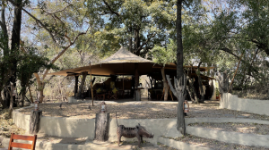Classic Zambia - Kafue - Musekese - Main Area