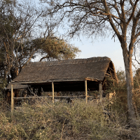 Classic Zambia - Kafue - Ntemwa-Busanga Camp